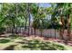 Lush backyard featuring mature landscaping and a secure black metal fence for privacy and security at 13217 Canopy Creek Dr, Tampa, FL 33625