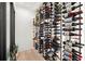 Extensive wine storage featuring racks of bottles against a minimalist wall, with greenery at 3105 S Schiller St, Tampa, FL 33629