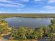 An aerial view showcases a serene lake surrounded by lush greenery, offering a peaceful and picturesque setting at 3208 Stevenson St, Plant City, FL 33566