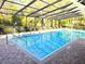 The community pool features a screened-in enclosure, clear blue water, and is surrounded by landscaped greenery at 3358 Mermoor Dr # 2106, Palm Harbor, FL 34685