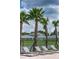Poolside lounge chairs surrounded by lush palm trees and well-maintained landscaping at 10612 Strawberry Tetra Dr, Riverview, FL 33578