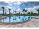 Stunning community pool featuring a smooth tile design and lush palm trees at 10612 Strawberry Tetra Dr, Riverview, FL 33578