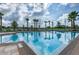 Bright and inviting community pool with palm trees and clear blue water at 10612 Strawberry Tetra Dr, Riverview, FL 33578