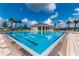 A relaxing pool area surrounded by palm trees and blue sky at 10612 Strawberry Tetra Dr, Riverview, FL 33578