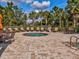 Secluded hot tub surrounded by lush landscaping, provides a serene escape for relaxation and unwinding at 11248 Juglans Dr, Odessa, FL 33556