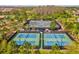 Aerial view of tennis and pickleball courts surrounded by mature landscaping in a well maintained community at 11248 Juglans Dr, Odessa, FL 33556