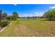 Expansive backyard with lush green lawn and scenic water view at 11327 Emerald Shore Dr, Riverview, FL 33579