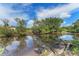 Picturesque backyard creek lined with trees, offering a natural waterfront setting at 3334 Pineview Dr, Holiday, FL 34691