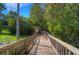 Scenic boardwalk through a lush, green, tropical landscape, offering a tranquil walking experience at 10144 Arbor Run Dr # 122, Tampa, FL 33647