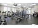 Modern fitness center with various weight machines, treadmills, free weights, and large windows at 11416 Carlton Fields Dr, Riverview, FL 33579