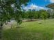Expansive backyard view showing the lush green lawn, mature trees, and landscaping at 14198 Thoroughbred Dr, Dade City, FL 33525
