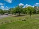Extensive grassy parkland with mature trees providing a serene and picturesque view at 14198 Thoroughbred Dr, Dade City, FL 33525