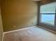 Empty bedroom with neutral walls, carpet, and a window, ready for customization at 224 Chardonnay Pl, Valrico, FL 33594
