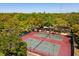 Community tennis courts surrounded by lush greenery, perfect for recreational games at 2644 2Nd Ct, Palm Harbor, FL 34684