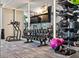 Clean and organized gym space featuring a variety of dumbbells, equipment, and a TV for entertainment at 301 1St S St # 2205, St Petersburg, FL 33701