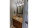 Stylish powder room featuring a modern vanity, mirror, and lighting fixtures at 3210 Mangrove Point Dr, Ruskin, FL 33570