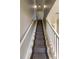 Carpeted stairway with white railings leading to the upper level of the home at 3210 Mangrove Point Dr, Ruskin, FL 33570
