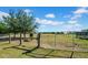 Fenced pasture with healthy grass, mature trees, and a horse enjoying the open space at 4615 Keene Rd, Plant City, FL 33565