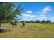 Expansive pasture with grazing horses and a sturdy fence line bordering the property at 4615 Keene Rd, Plant City, FL 33565