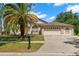 Charming single-Gathering home with a well-manicured lawn and mature palm trees at 15014 Arbor Hollow Dr, Odessa, FL 33556
