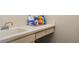 Close up of utility sink with faucet and nearby cleaning supplies at 15014 Arbor Hollow Dr, Odessa, FL 33556