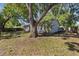 Spacious backyard featuring mature trees, lush greenery and partial fence, creating private outdoor oasis at 1849 Diane Dr, Clearwater, FL 33759