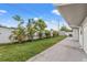 The manicured backyard has a white fence, palm trees and a storage shed for outdoor tools at 2214 Wilshire Dr, Dunedin, FL 34698
