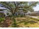 Charming home featuring a beautiful lawn, mature trees and lush landscaping at 2304 S Occident St, Tampa, FL 33629