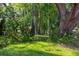 A peaceful backyard features a swing hanging from a mature tree, surrounded by lush greenery and grass at 307 Bay St, Tarpon Springs, FL 34689