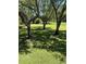 View of the lush backyard, with mature trees providing ample shade on a sunny day at 36750 Us 19 N Hwy # 18-210, Palm Harbor, FL 34684