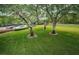 A wide green lawn is surrounded by mature trees at 36750 Us 19 N Hwy # 18-210, Palm Harbor, FL 34684