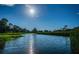 Scenic pond with lush green grass and mature trees on a bright sunny day at 36750 Us 19 N Hwy # 18-210, Palm Harbor, FL 34684