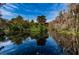 Scenic pond reflects the trees, enhancing Innisbrook's tranquil atmosphere at 36750 Us 19 N Hwy # 18-210, Palm Harbor, FL 34684
