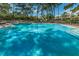 Expansive swimming pool with clear blue water, surrounded by lounge chairs and lush landscaping at 36750 Us 19 N Hwy # 18-210, Palm Harbor, FL 34684