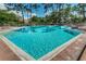 Beautiful, large swimming pool surrounded by lounge chairs and lush greenery, perfect for relaxation at 36750 Us 19 N Hwy # 18-210, Palm Harbor, FL 34684