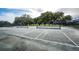 Community tennis courts with trees in the background and black fencing at 36750 Us 19 N Hwy # 18-210, Palm Harbor, FL 34684