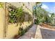 Back exterior featuring lush greenery with a pond at 701 S Boulevard, Tampa, FL 33606