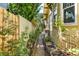 Exterior walkway featuring lush greenery and privacy fence at 701 S Boulevard, Tampa, FL 33606