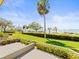 Scenic view from the patio, highlighting lush landscaping and the calm waterfront in a serene setting at 2087 Edgewater Dr # C, Clearwater, FL 33755