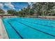 Dive into the long, refreshing community pool with marked lanes for swimming and ample lounge seating at 40 Gretchen Ct, Oldsmar, FL 34677
