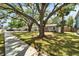 Exterior view of the house with a well-maintained lawn and beautiful, mature trees at 4414 W El Prado Blvd, Tampa, FL 33629