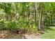 Backyard area featuring a beautiful garden enclosed with a black metal fence at 5004 Waterkey Way, Tampa, FL 33647