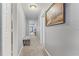 Hallway featuring neutral carpet and grey walls at 7110 N Rome Ave, Tampa, FL 33604