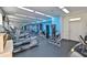 A modern fitness center equipped with treadmills and various exercise machines at 1038 Bellasol Way # 202, Apollo Beach, FL 33572