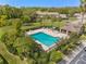 Aerial view of community pool with surrounding palm trees at 1205 Hounds Run, Safety Harbor, FL 34695