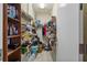 Walk-in pantry with wire shelving filled with household goods at 13750 Dowling Ln, Odessa, FL 33556