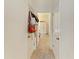 Hallway showing multiple doors and a carpet runner at 16934 Oval Rum Dr, Wimauma, FL 33598