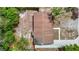 Overhead aerial view of the home's roof, landscaping, driveway, and surrounding foliage at 3407 N 48Th St, Tampa, FL 33605