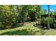 Lush backyard featuring mature trees, a small bridge, and serene landscaping for ultimate privacy at 7816 Citrus Blossom Dr, Land O Lakes, FL 34637