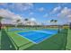 Community pickleball courts with blue playing surfaces and green surroundings offer outdoor recreation at 130 Riviera Dunes Way # 203, Palmetto, FL 34221